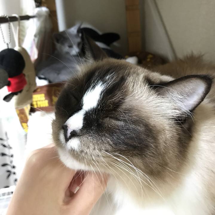 3f5c20d7 e0e4 45a4 9f9a 6d4dc202451b 1509536573708