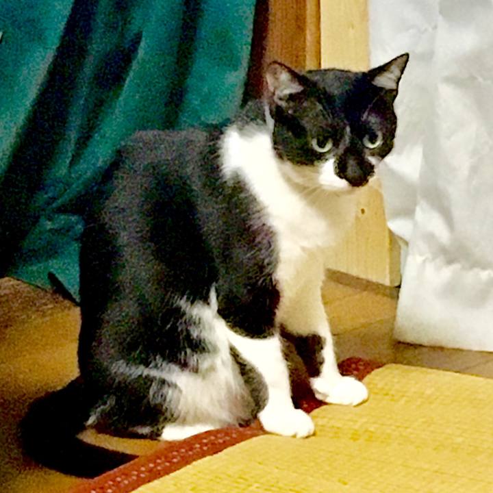 3f5c28b2 a374 4096 9ec0 bdc9edd6ddf8 1522678383931