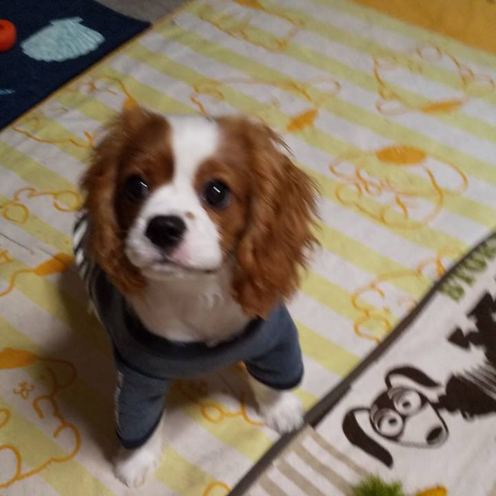 3f5c2cee ab33 4093 9c3a d63749a49b59 1572014395650