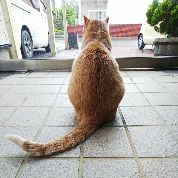 3f5c48b2 0e8e 4a0d a9a7 2acc683da5cb 1685851398728