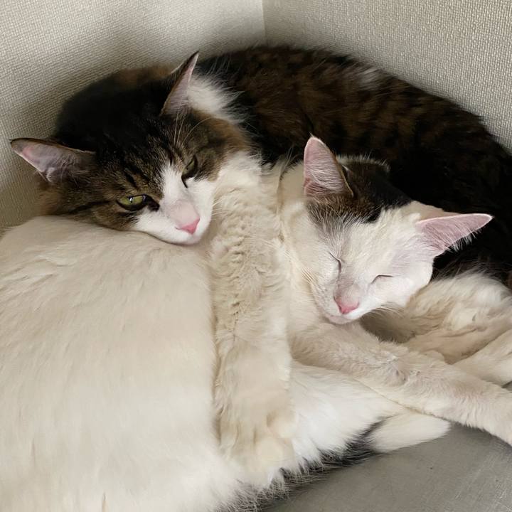 3f5cb3fd 442f 45fb a738 3d126b6932d7 1582236792922