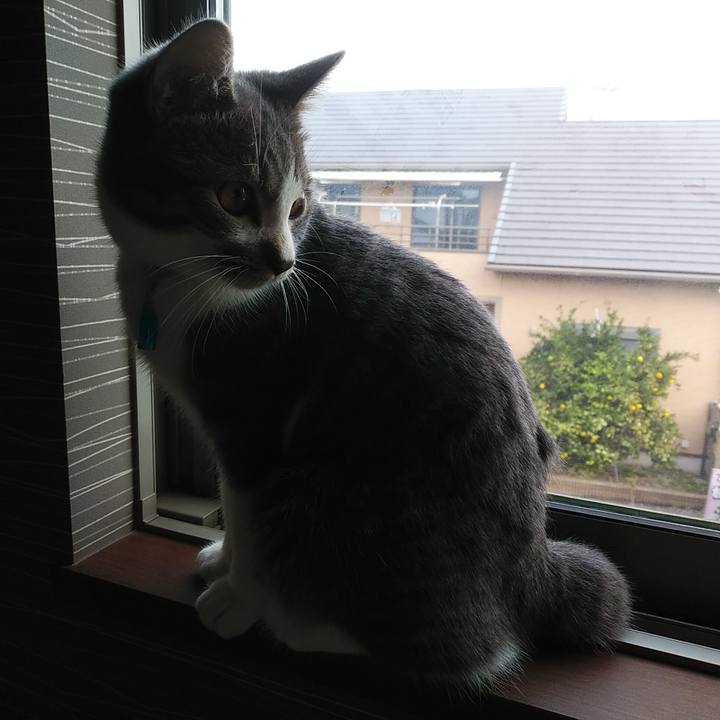 3f5ce364 14d9 4616 95cc 3cc6ec137df7 1572215121961