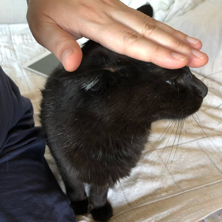 3f5d11e6 7542 468b 9bbe 29243f010760 1597136727854