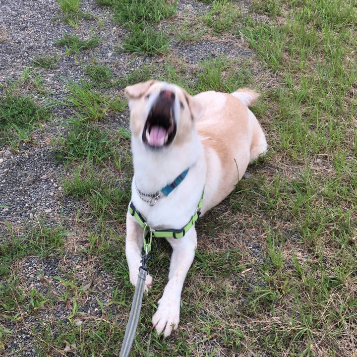 3f5d4bf9 f39a 45b8 9cc2 ad086ca459db 1530962347489