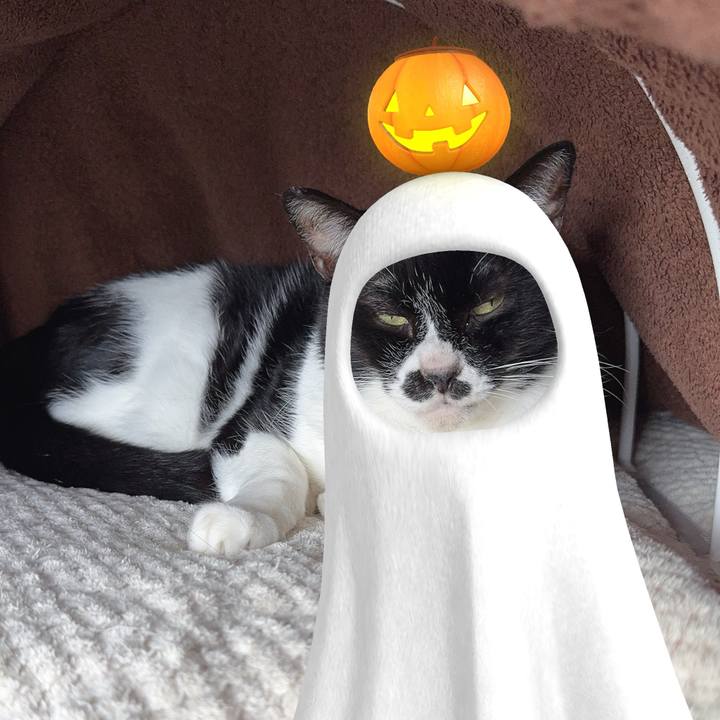 3f5d4eb3 b415 40ca 9f2b 6bfd8bbdaff6 1761867342796