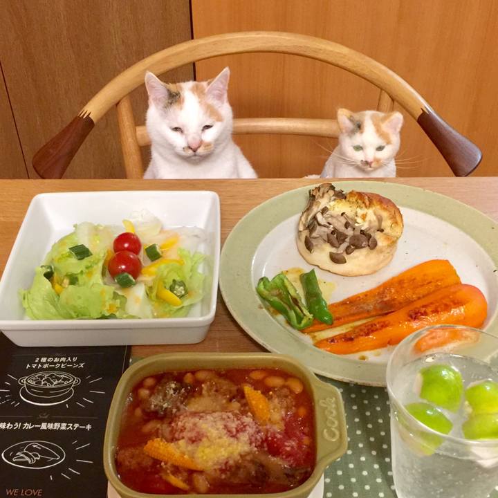 3f5d788d 0dcd 46c2 bb99 987274918e92 1539140394108