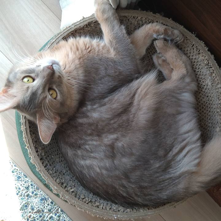 3f5d7d04 42c0 43c8 a884 22332062985d 1603515351615