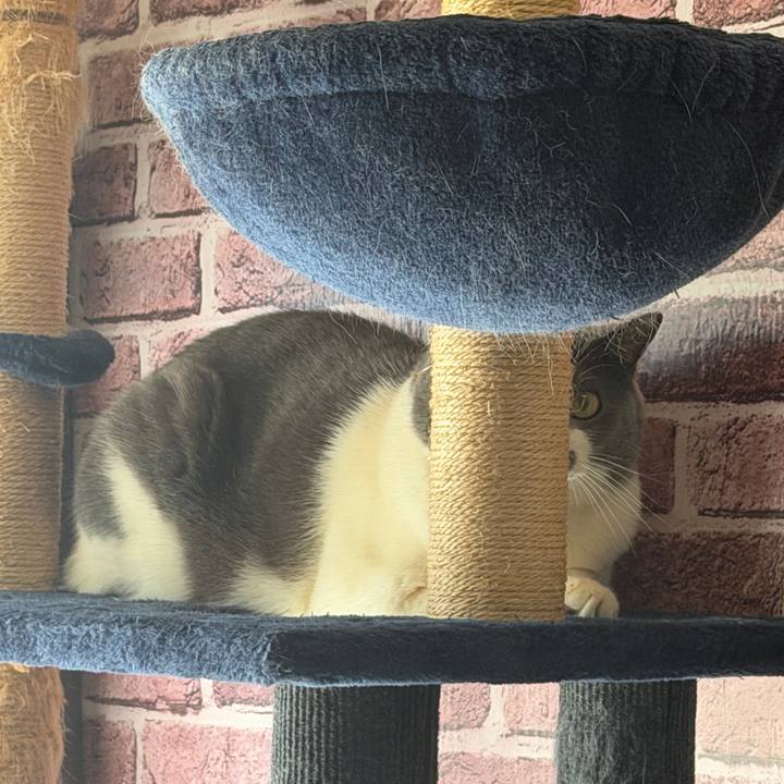 3f5dd2ef 4fa3 4261 ae58 2ee6b4fd49b1 1770540328465