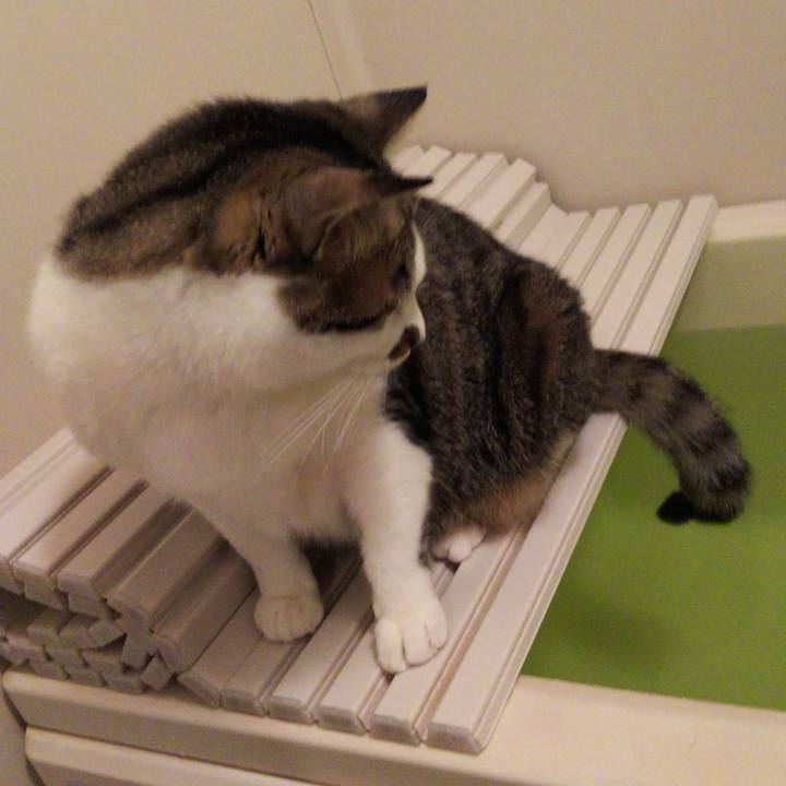 3f5df519 8dcc 4860 9da1 5313efa7c314 1651583645442