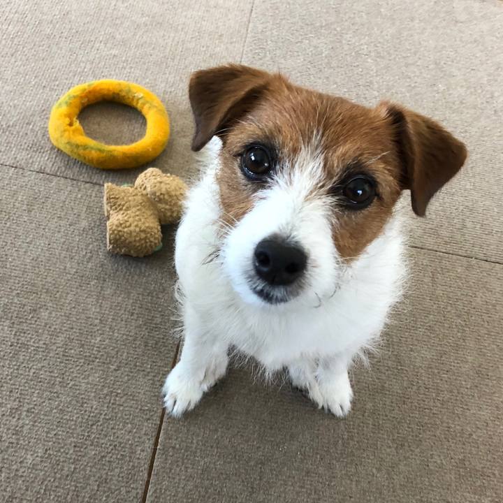 3f5e064d d2ca 4dd8 b459 19b07bc15513 1543533200704