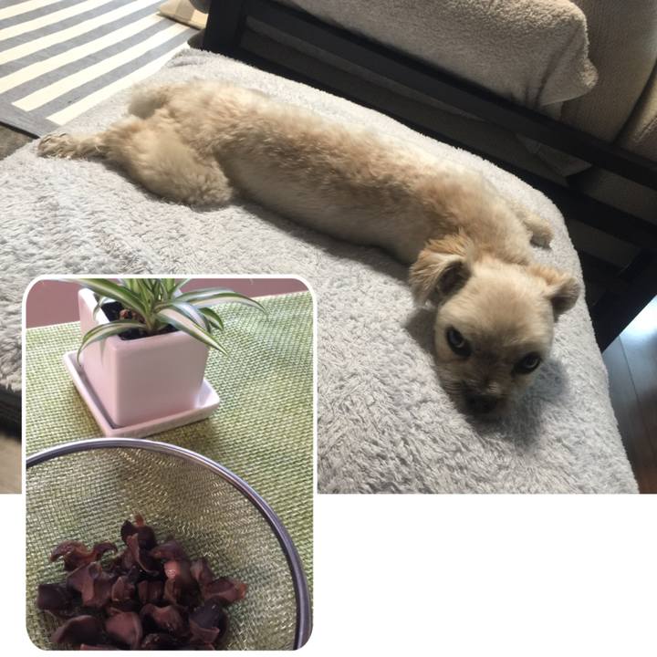 3f5e0afc 1fd2 4591 8389 6ccff047d222 1528541890631