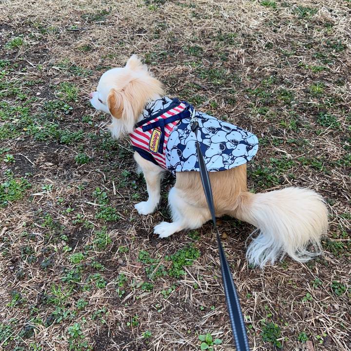 3f5e0cf1 6197 4487 945d edd3406ea54c 1772241617077