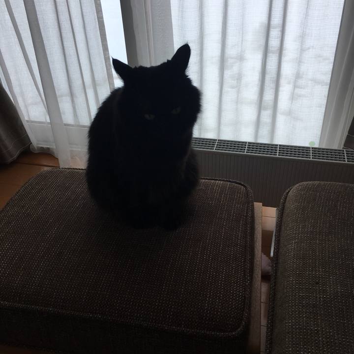 3f5e2a23 feb6 49d5 b1e5 0d44051666e3 1520479266912