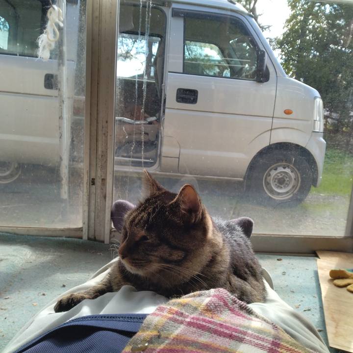 3f5e3087 6b0c 4f29 bc17 6ef66de7f0ea 1667033821391