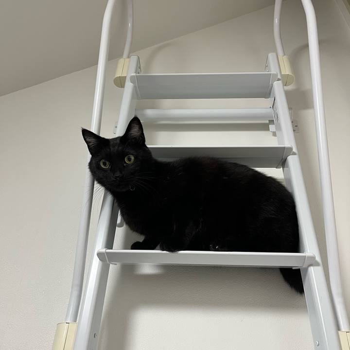 3f5e6ee1 f51f 4b89 931e f6905a7f6917 1709020690792