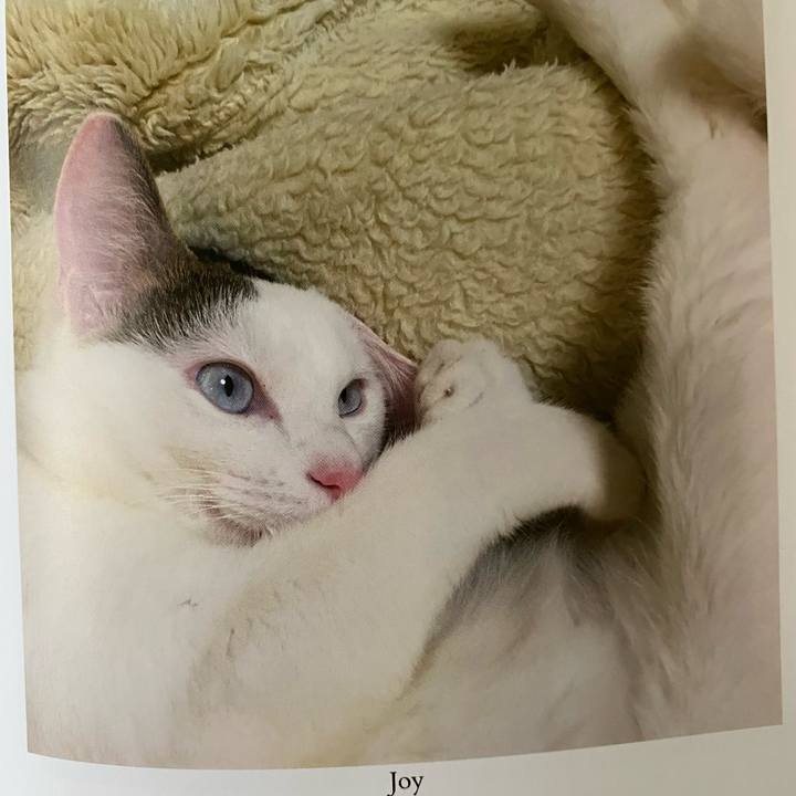 3f5e7346 4d09 47e6 97a8 d079b031ea3e 1664576965581