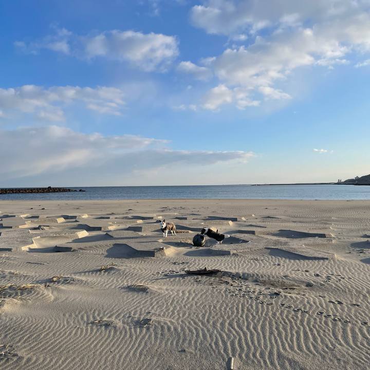 3f5e7f2a 2915 4443 937b b8090d2d1309 1771374725484