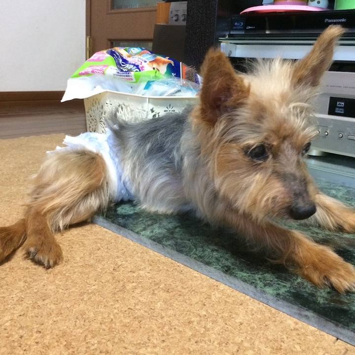 3f5eb502 7a5c 42f2 a06c 4b3ba7b6f1b0 1676011207463