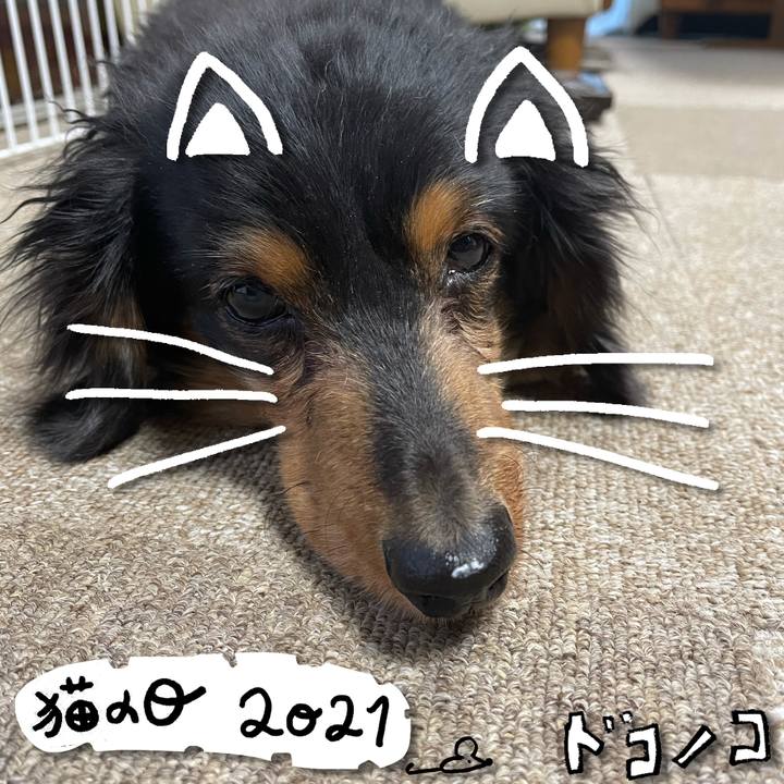 3f5edaf5 1d4d 45d1 b96a 811e7b36095a 1613993688993