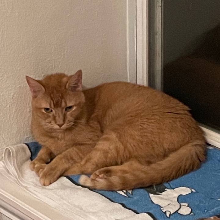 3f5f0cf7 d8c5 4062 9634 4185cdfa0803 1695772619233