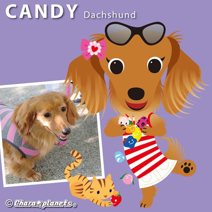 3f5f16ac 9b13 49dc aa66 c2014265677c 1560826033914