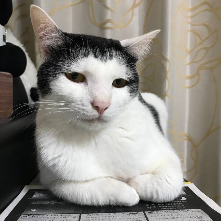 3f5f1f34 6239 42f1 af7f 59231d3eb6ba 1530783429335