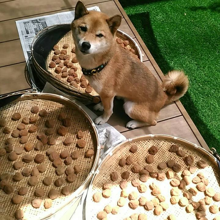 3f5f33d5 1b83 4476 9153 ac83870b31be 1565837424135