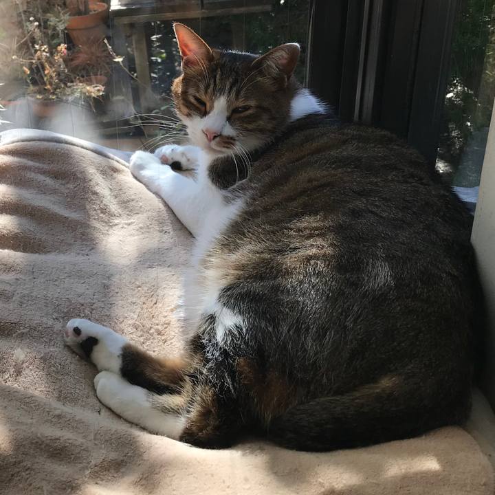 3f5f3699 8b71 4bdc b4dc 1e308a0c545f 1514377767285