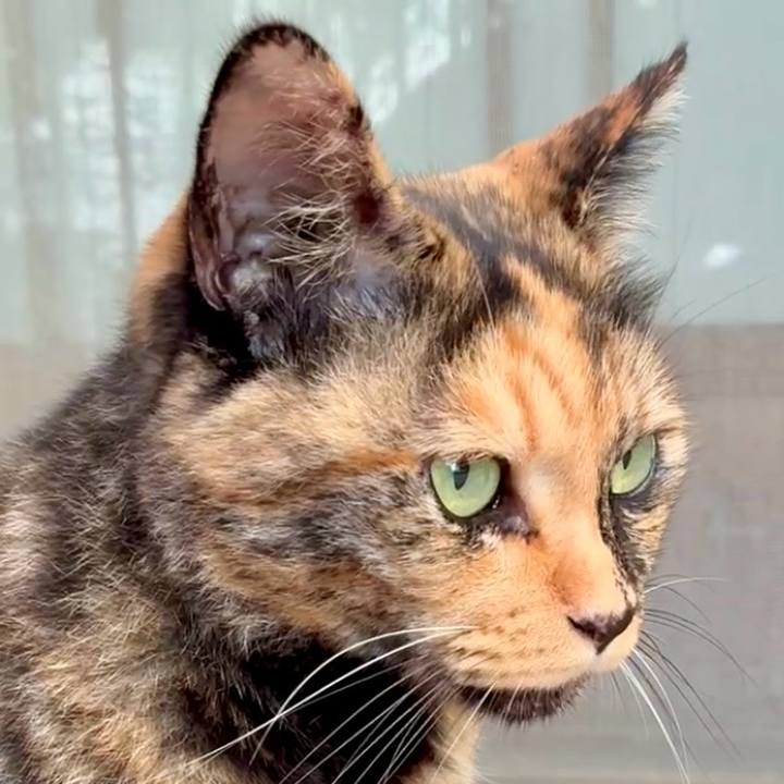 3f5f425d ca40 4d99 afa2 d0ebec50cda4 1756263490289