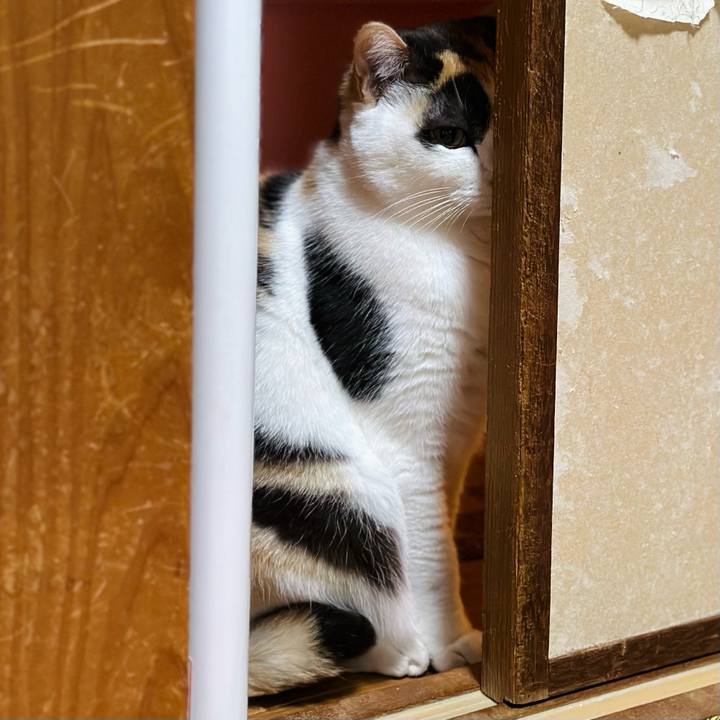 3f5f4e1f af06 4217 af02 68db60f22311 1675386836570