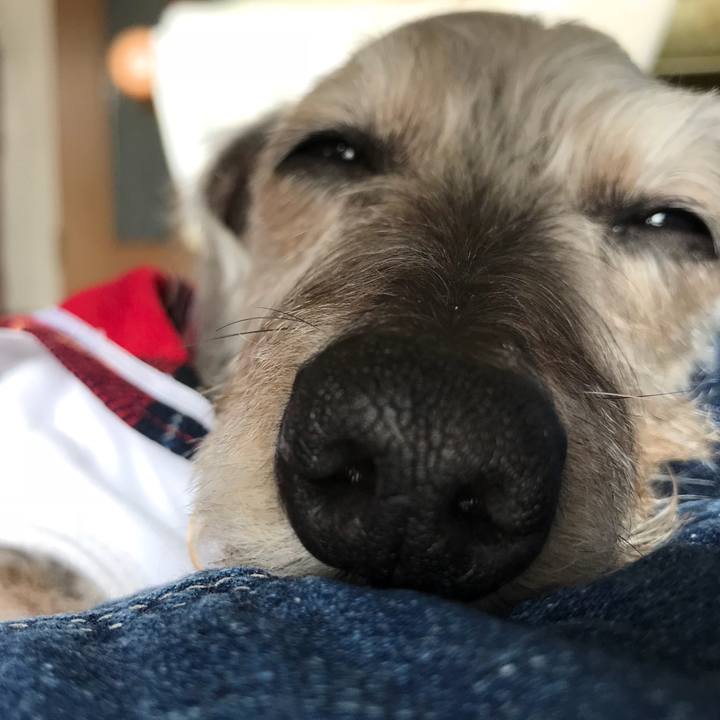 3f5f6c5c 08de 4426 a36f c1dacbdccf93 1523489899777