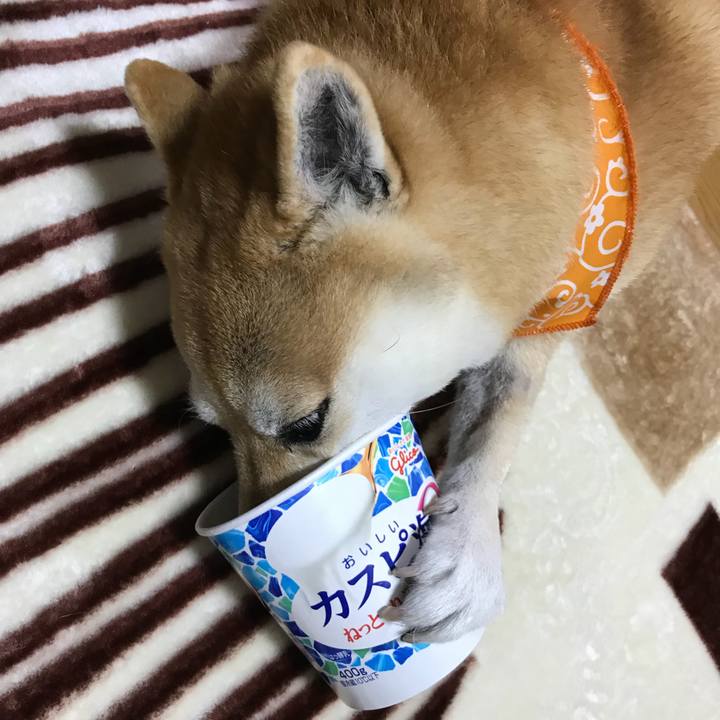 3f5f987a 1321 4750 8556 9bdc5128f038 1510837612946