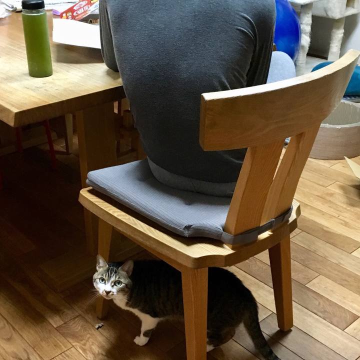 3f5fadad a1d6 4cf5 9545 5cc09af789a2 1521885923498