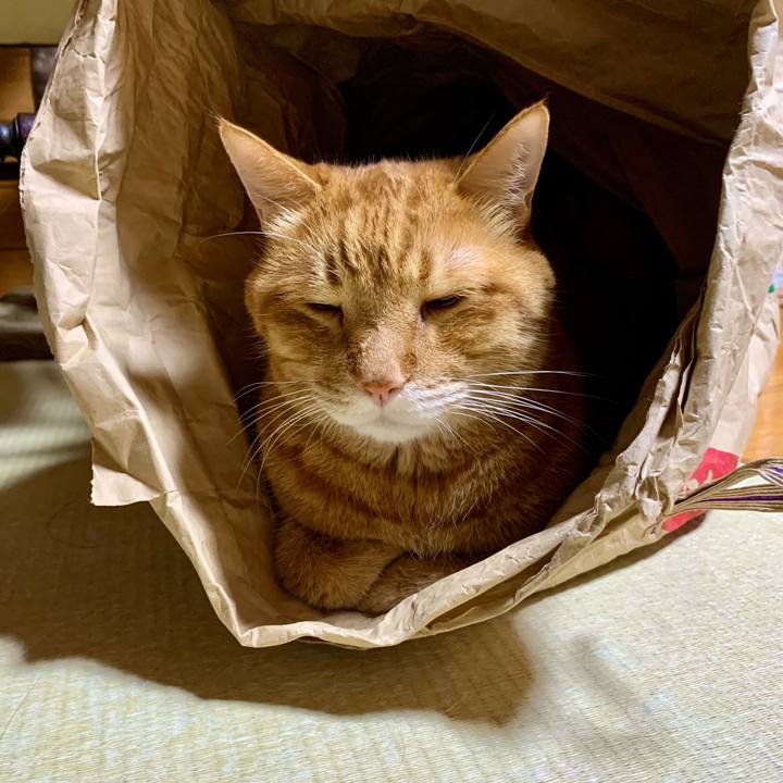 3f5fc35c 04bb 4187 802a 17f10a33a40a 1632827775936