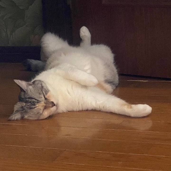 3f601325 988e 4dc4 a8e2 706cacbe138e 1724506815371