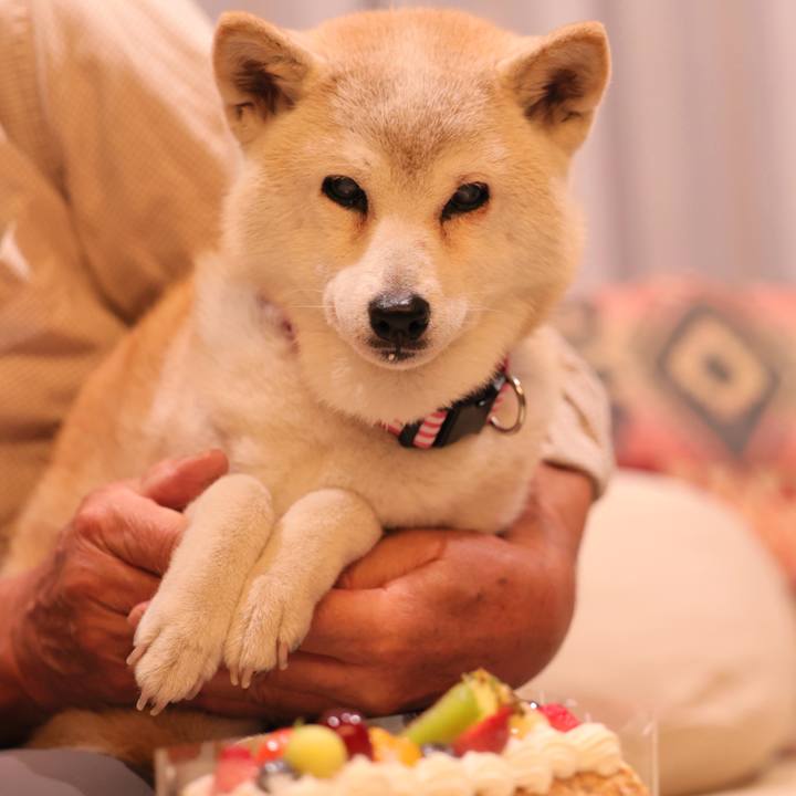 3f602c34 1010 49bf a966 6ddc9e3b0982 1760102077417