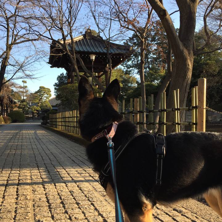 3f603516 3ed2 4509 b70a 38a6f810b7f5 1520058455556