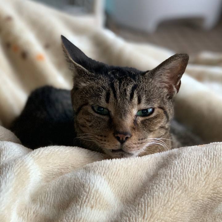 3f60c40c 8c50 4234 9d07 1bfae8a4c32a 1581816291829