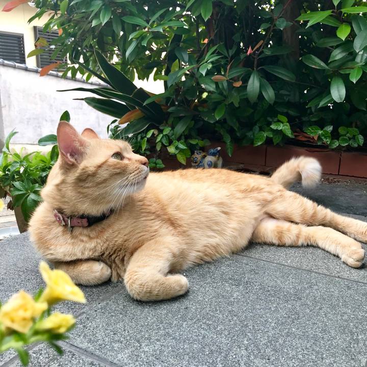 3f610bd5 91e8 4007 943d 1e0fad1448b7 1528015134106