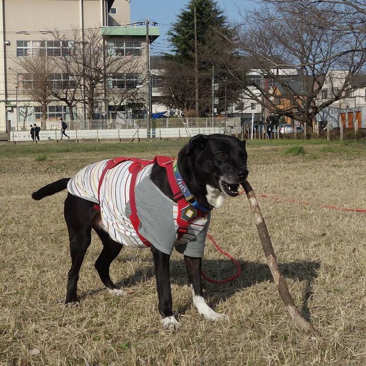 3f61200e 8a60 4c52 9793 85a80f3a2eeb 1678411510795