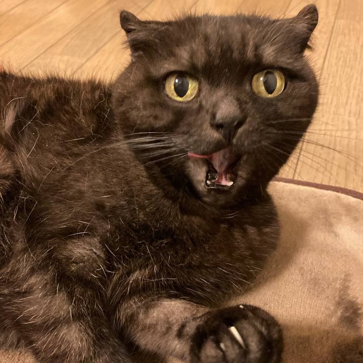 3f619a9e f93f 4768 b773 1bd95c005c87 1611158939416