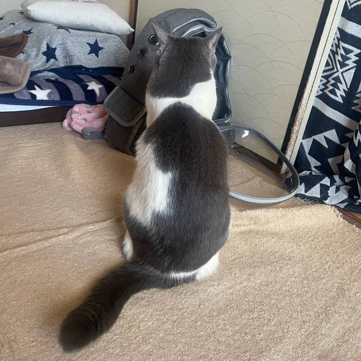 3f61cc37 0114 4e09 bce6 9627d036fbb2 1707722353646