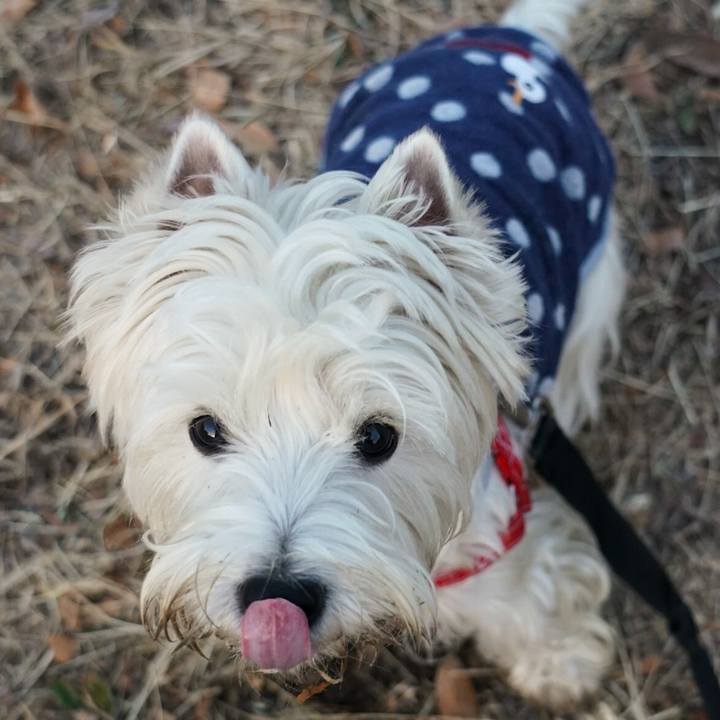 3f61ee92 12a2 4dc9 b8f4 6f80db3f11d0 1516057408697