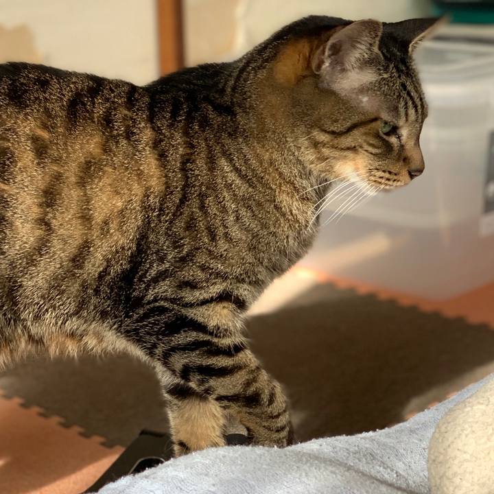 3f61fb78 6c0d 4e44 97c9 077fb7b319e9 1580778398078