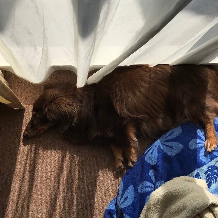 3f620d60 3378 404e 97a9 cc304d7f08f6 1509937377984