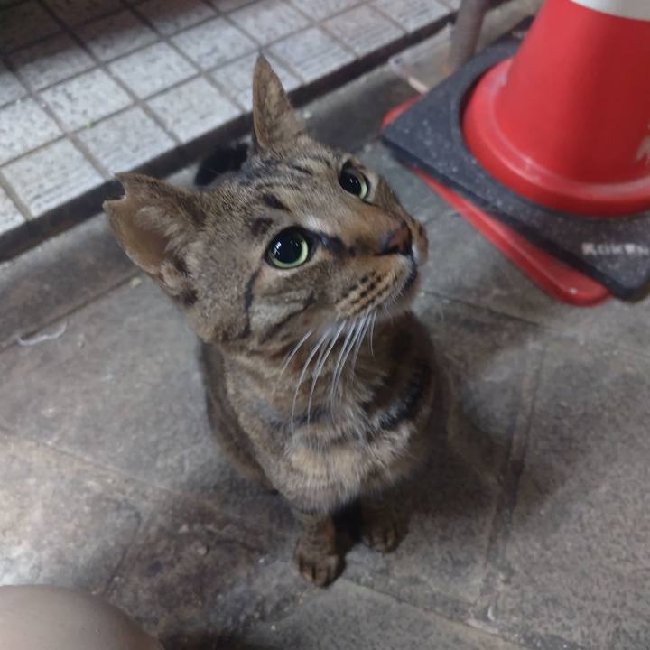 3f6227e5 65a7 4e00 a7aa e6dcf9a17318 1765342144748