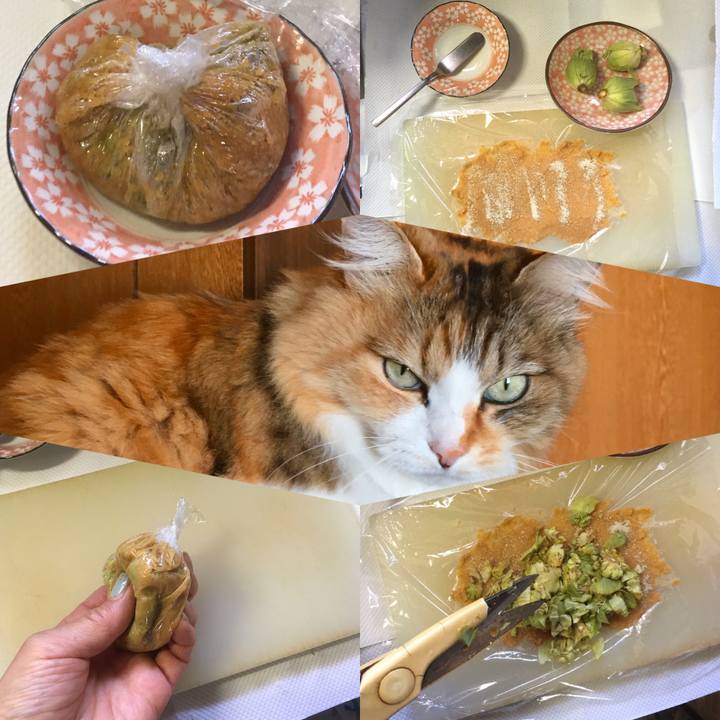 3f629733 d338 48b4 8607 ea89707dbd8e 1585628781163