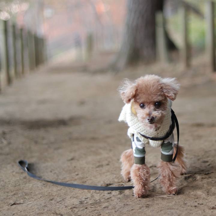 3f62a710 781b 420f ac27 077fcc2fc92a 1665060778775