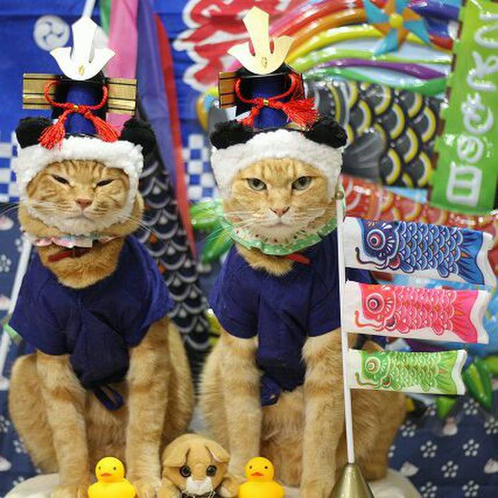 3f62c124 4637 493a a866 cab035e70ef5 1524668291576