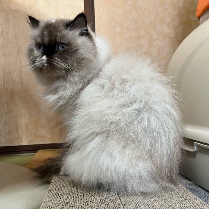 3f62ccf9 4c1d 4b8b ba4b 0226da49ba22 1762089991179